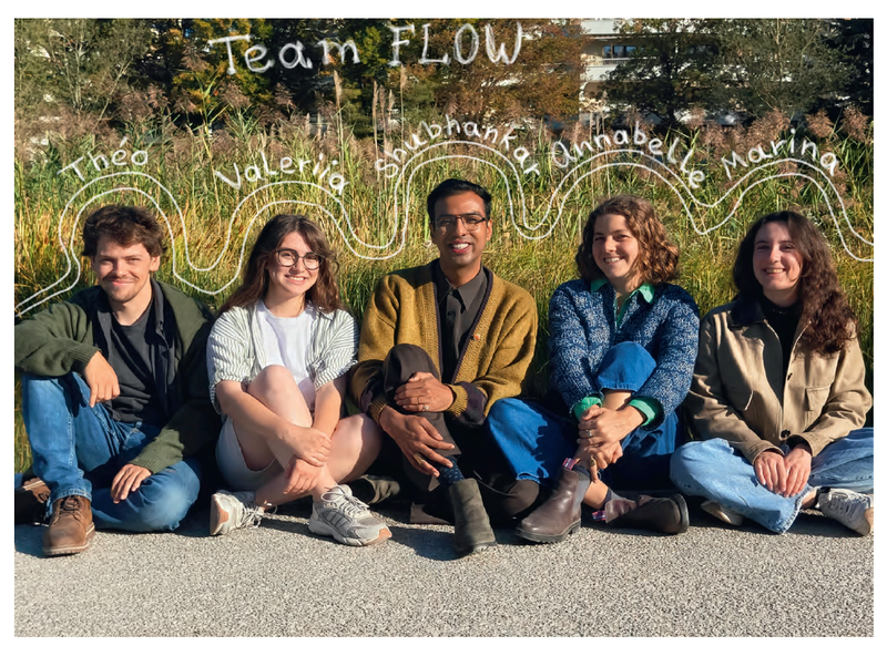 Team Flow