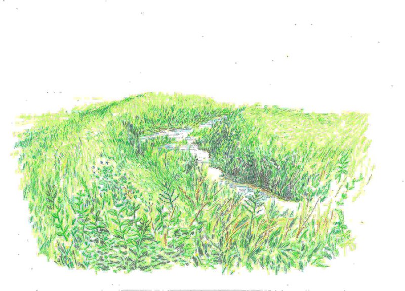 Team Tropical Seine production