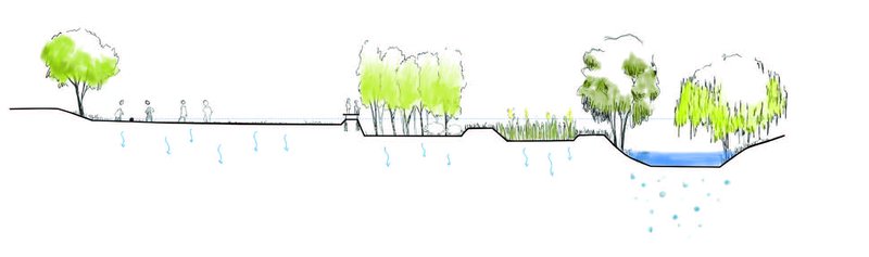 Des solutions basées sur la nature pour une Seine vivante, production atelier 2023