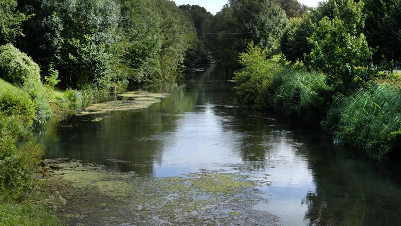 la Marne en Champagne